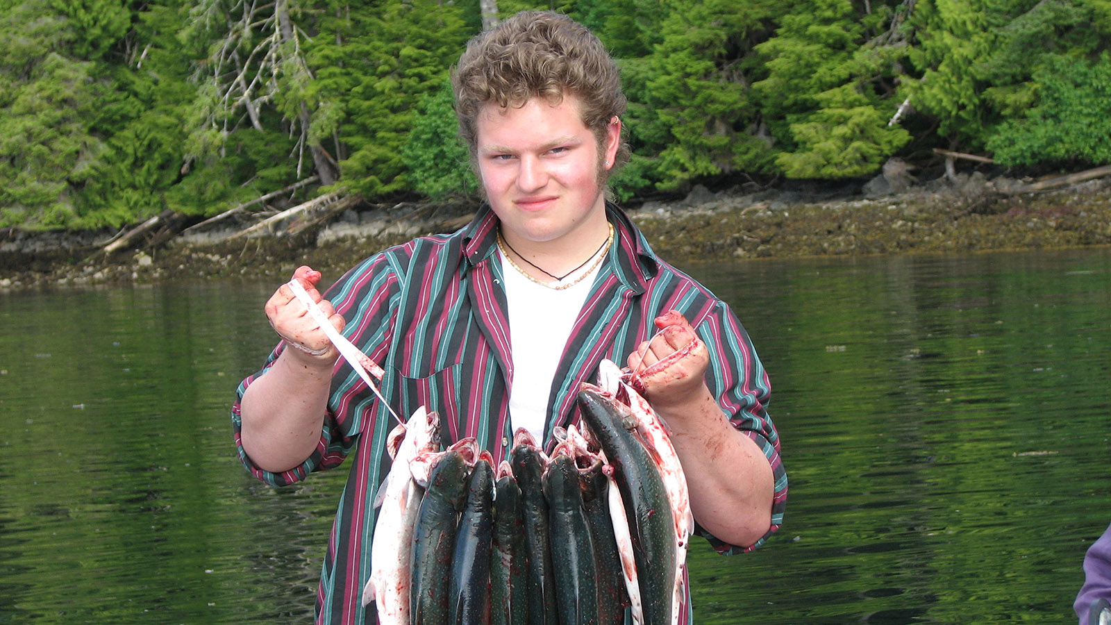 dmax alaskan bush dmax alaskan bush